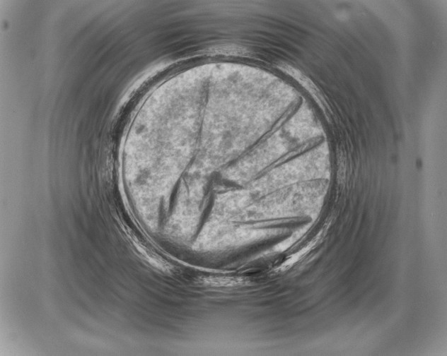 X0000085751115200704131704