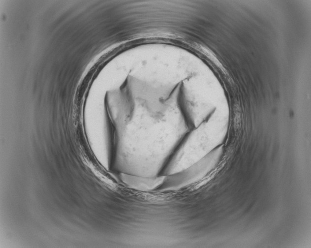 X0000085751116200704131704