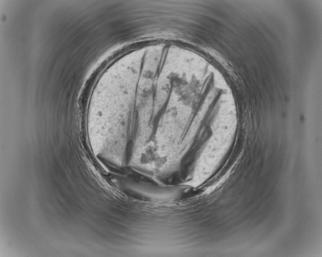 X0000085751118200704131704