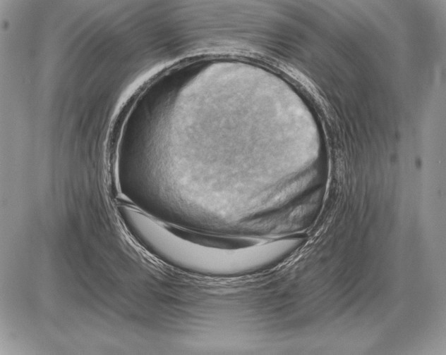 X0000085751120200704131704