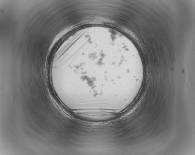 X0000085751122200704131704