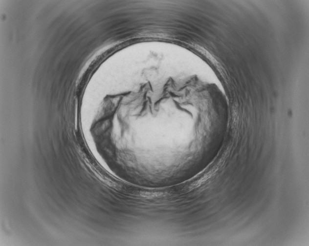 X0000085751123200704131704