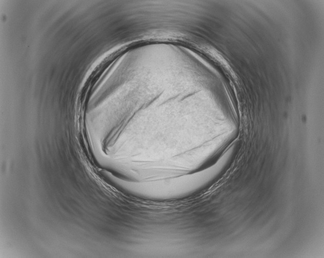 X0000085751124200704131704