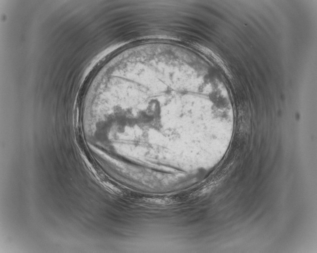 X0000085751125200704131704