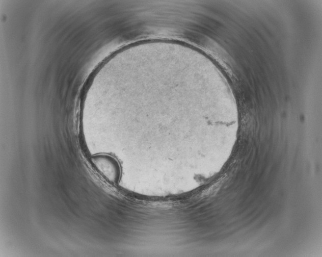 X0000085751126200704131704