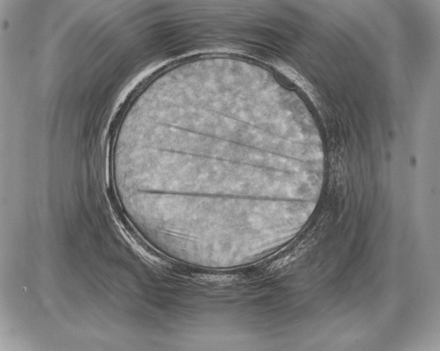 X0000085751127200704131704