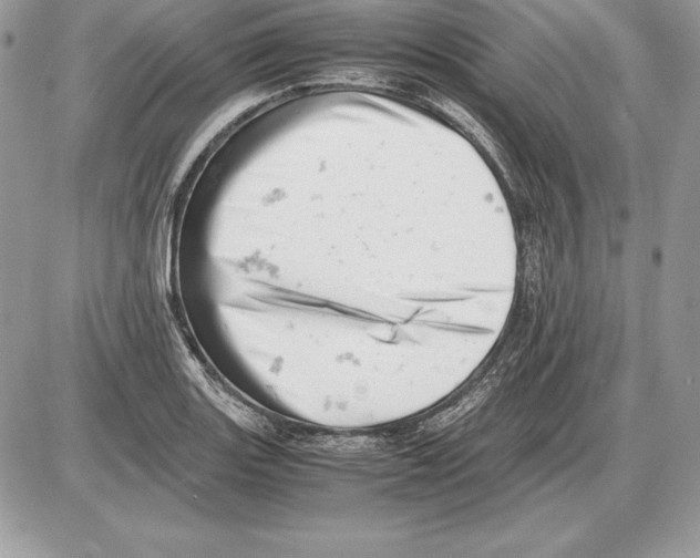 X0000085751131200704131704