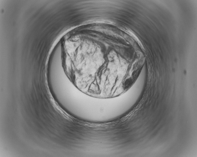 X0000085751132200704131704