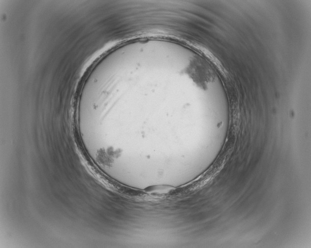 X0000085751134200704131704