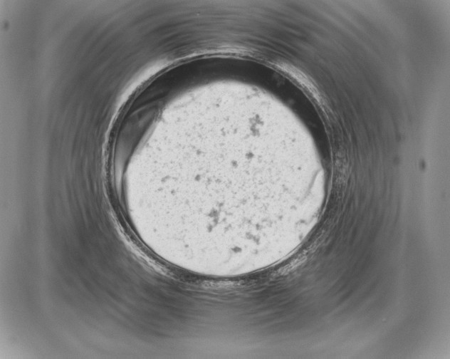 X0000085751135200704131704