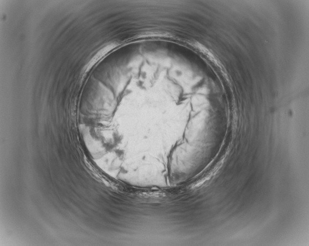 X0000085751137200704131704