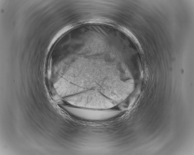 X0000085751138200704131704