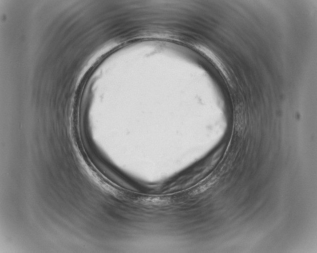 X0000085751139200704131704