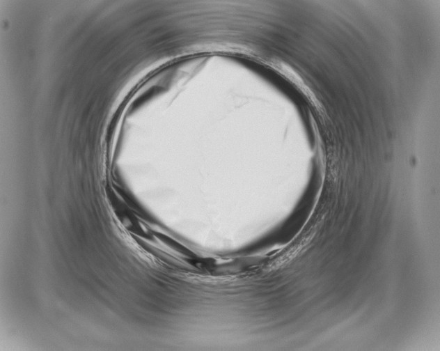 X0000085751140200704131704