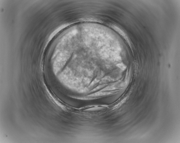 X0000085751141200704131704