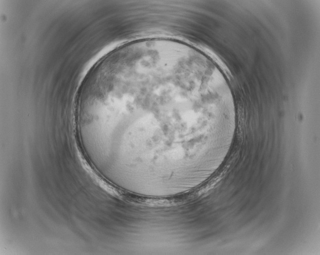 X0000085751142200704131704