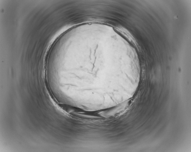 X0000085751143200704131704