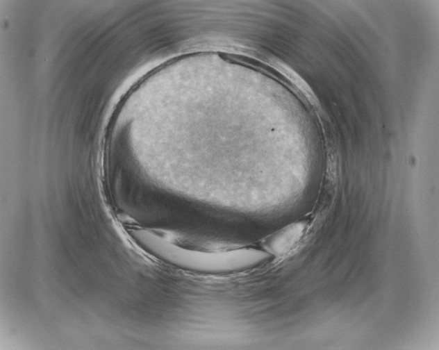 X0000085751144200704131704