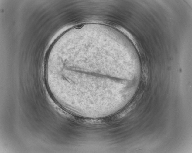 X0000085751147200704131704