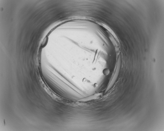 X0000085751148200704131704