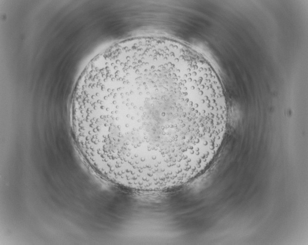 X0000085751150200704131704