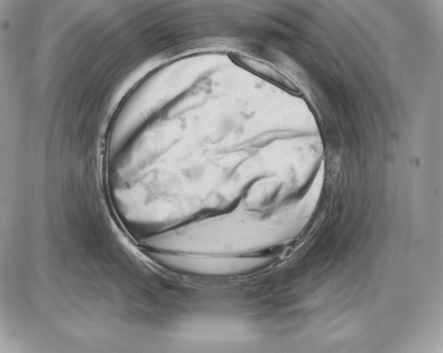 X0000085751151200704131704