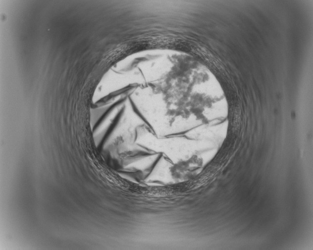 X0000085751153200704131703