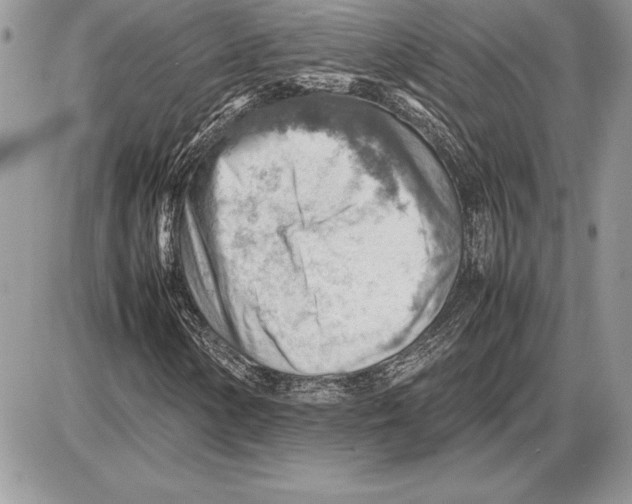 X0000085751154200704131703