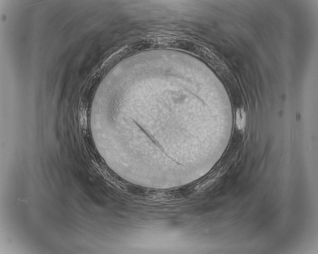 X0000085751155200704131703