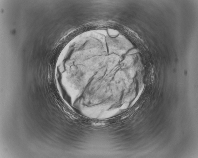 X0000085751158200704131703