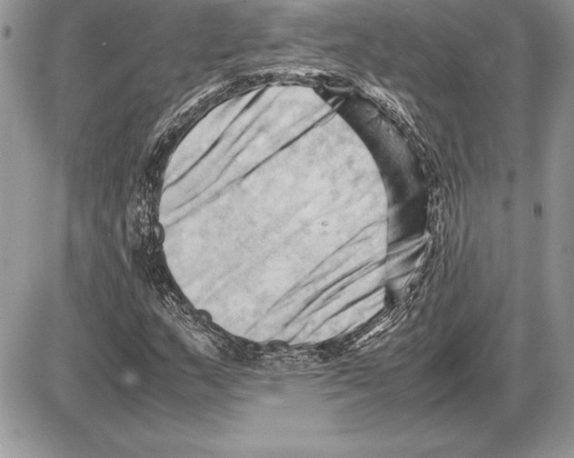 X0000085751159200704131703