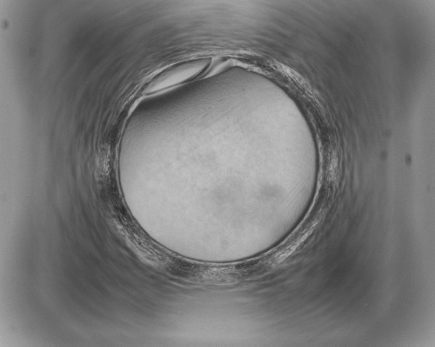 X0000085751161200704131703