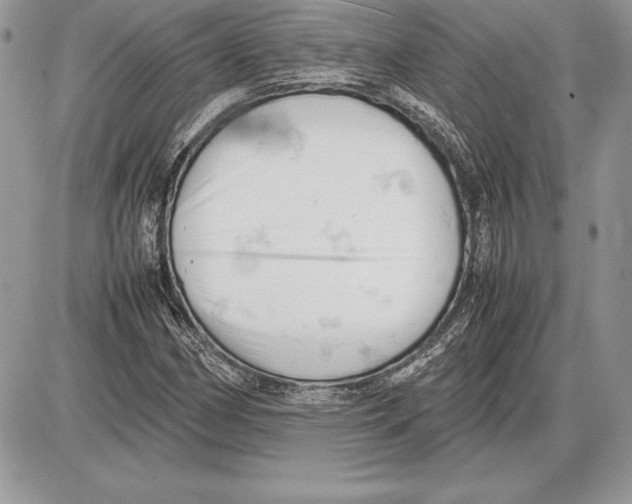 X0000085751162200704131703