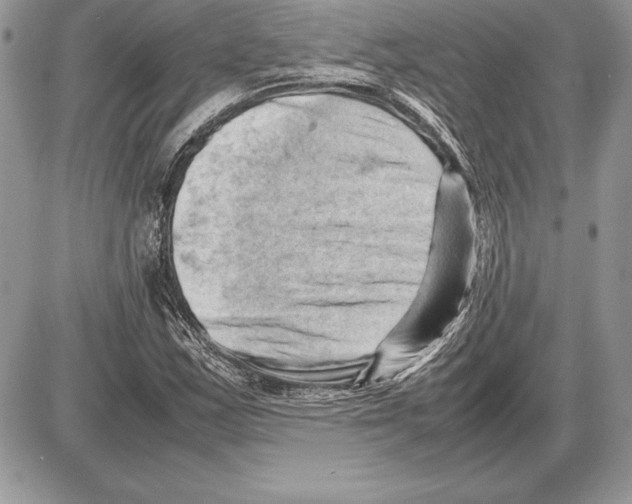 X0000085751163200704131703