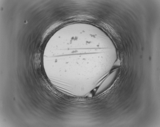 X0000085751164200704131703