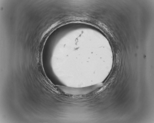 X0000085751165200704131703