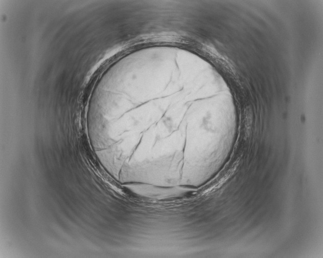 X0000085751166200704131703