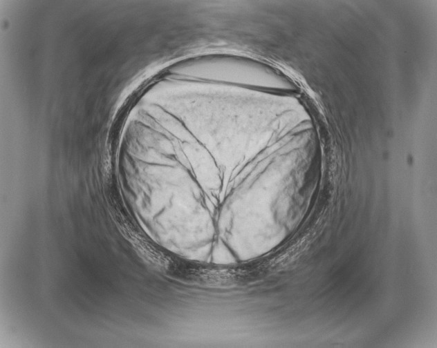 X0000085751167200704131703