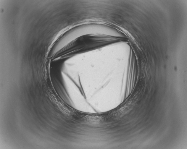 X0000085751168200704131703