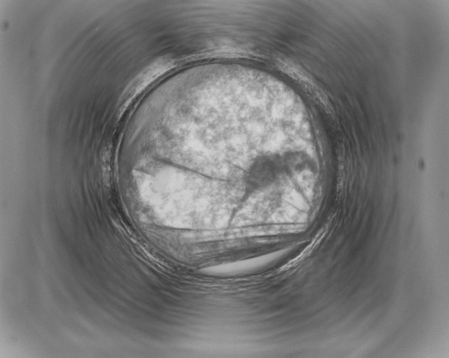 X0000085751170200704131703