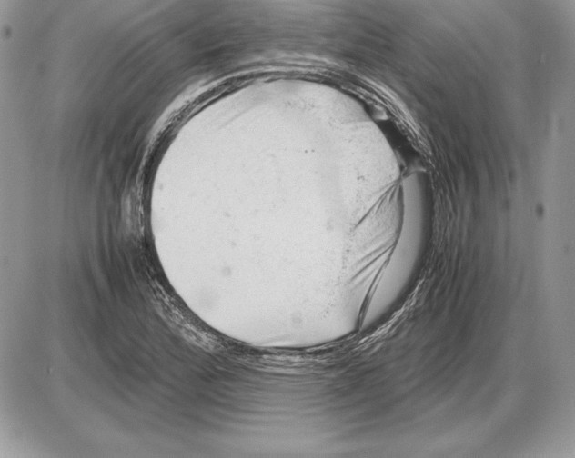 X0000085751172200704131703