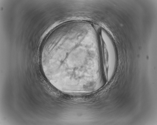 X0000085751173200704131703