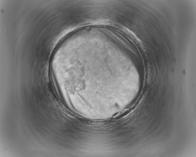 X0000085751174200704131703