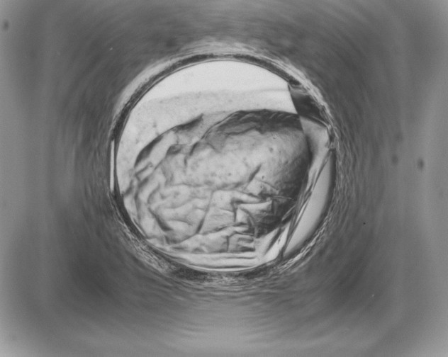 X0000085751175200704131703