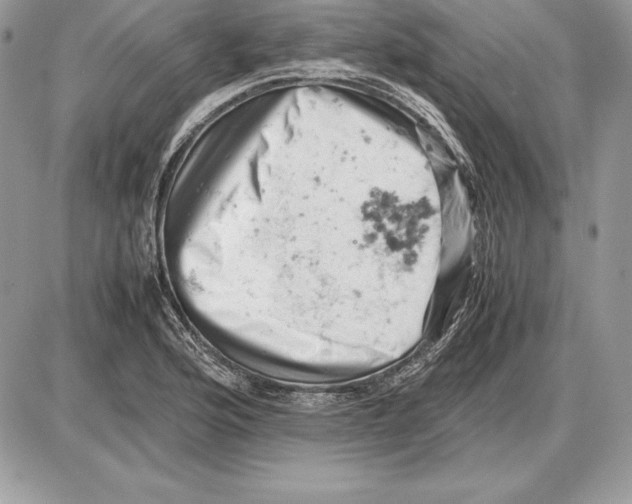 X0000085751176200704131703