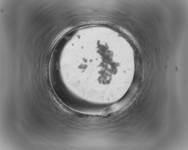 X0000085751177200704131703