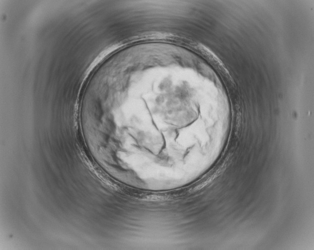 X0000085751178200704131703