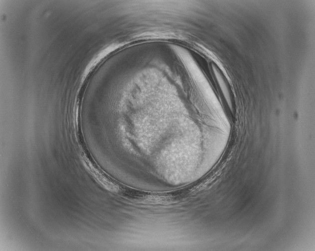 X0000085751179200704131703