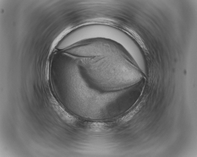 X0000085751180200704131703