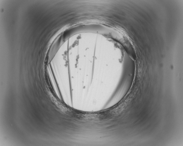 X0000085751181200704131703